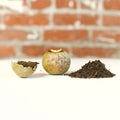 Pu'er